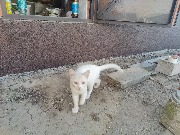 Ведутся отделочные работы