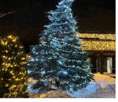 Новогоднее украшение елей и деревьев гирляндами