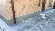 Выполнено утепление, дюбелирование, установлены усиливающие уголки. Ведутся армировочные работы