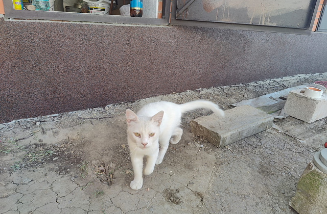 Отделка цоколя мраморной крошкой – Ростов-на-Дону