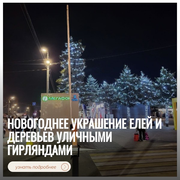 Новогоднее украшение елей и деревьев уличными гирляндами